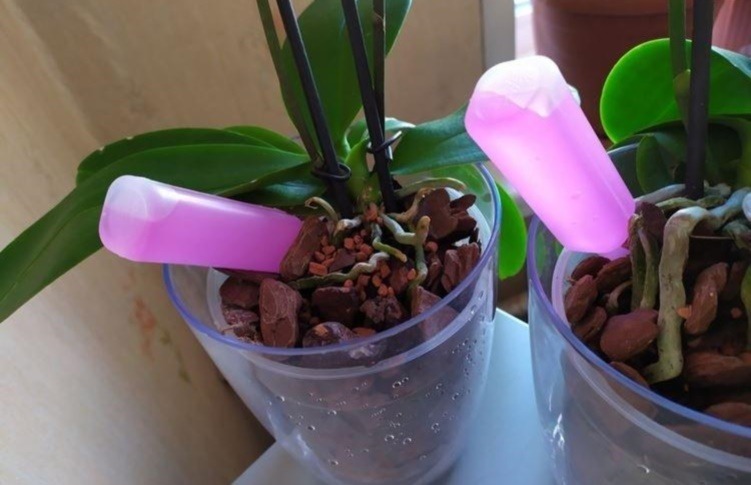 Только для орхидей: голубые, розовые и зеленые японские удобрения